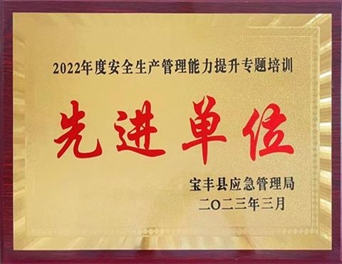 安全生产管理能力提升专题培训先进单位                                